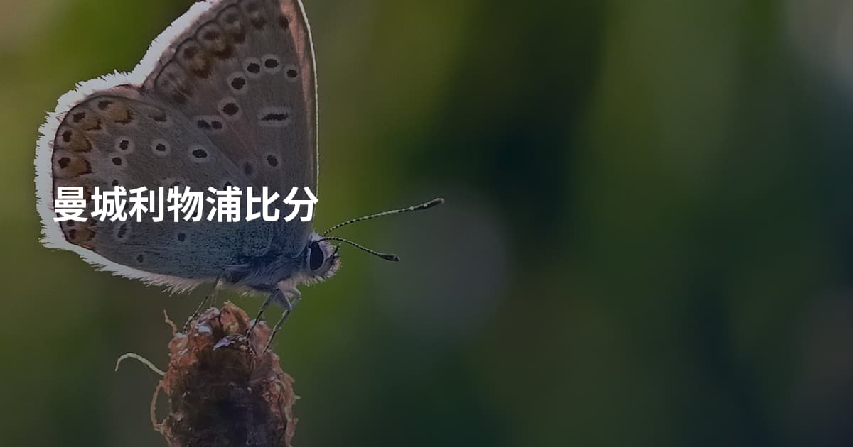 曼城利物浦比分