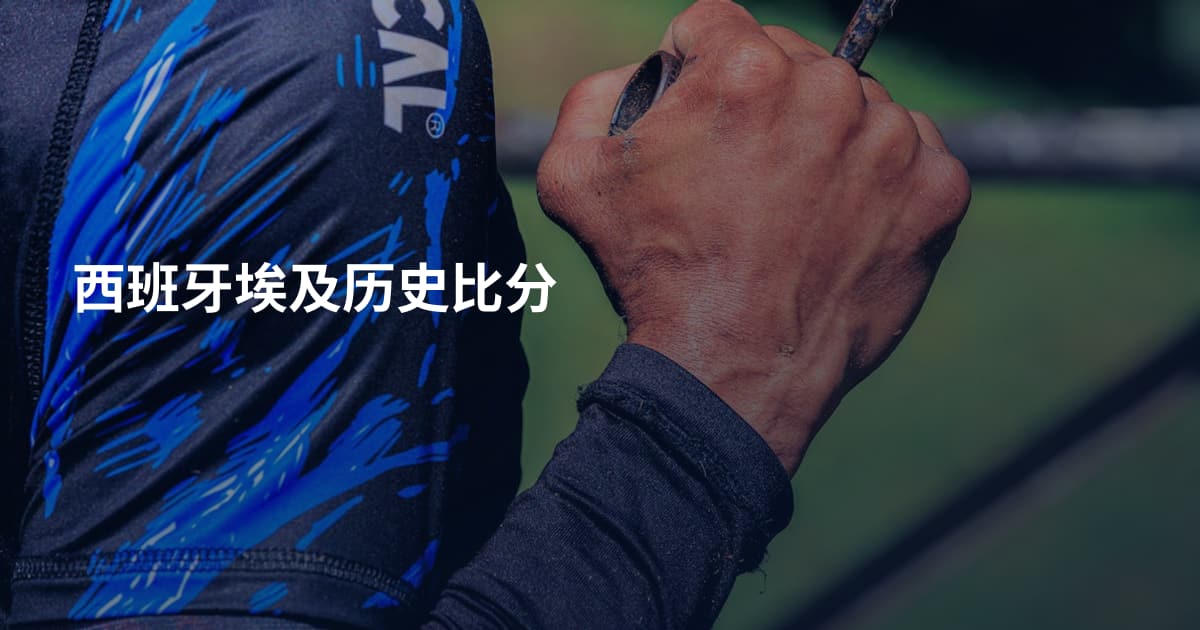 西班牙埃及历史比分