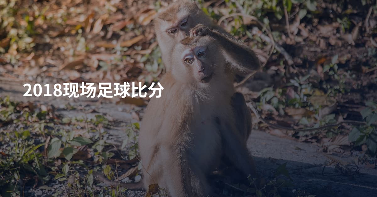 2018现场足球比分