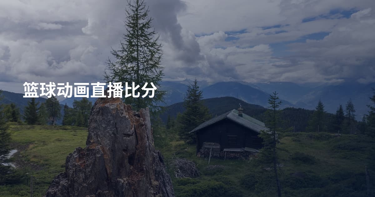 篮球动画直播比分