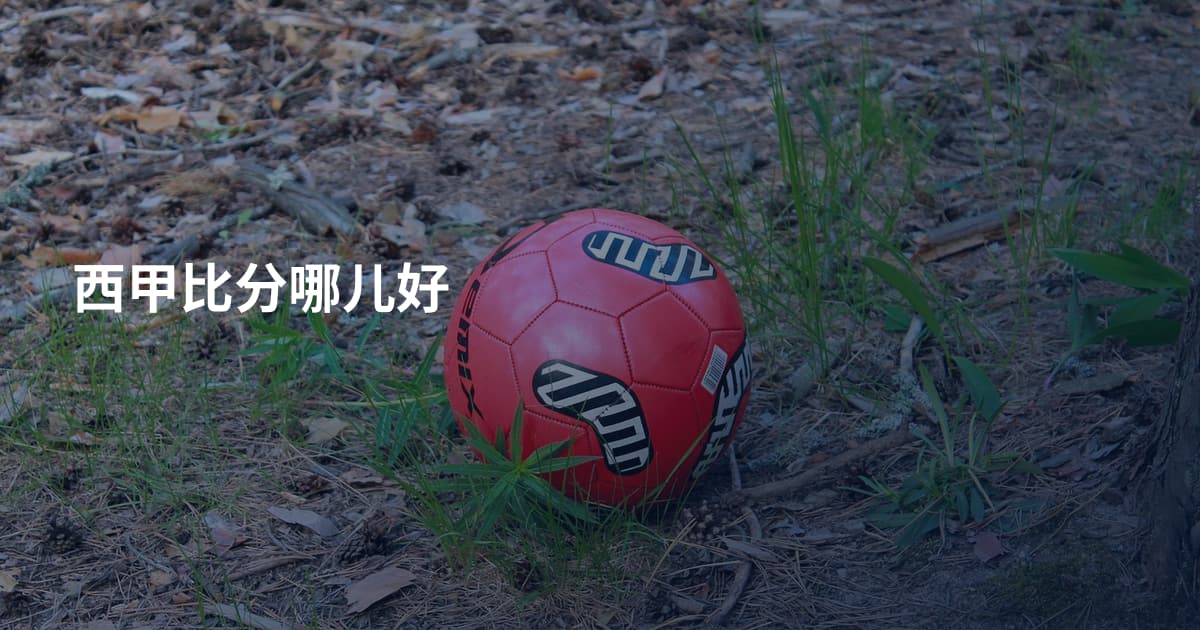 西甲比分哪儿好