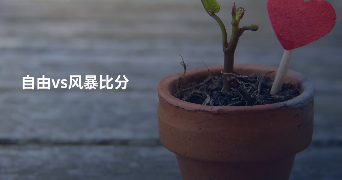 自由vs风暴比分