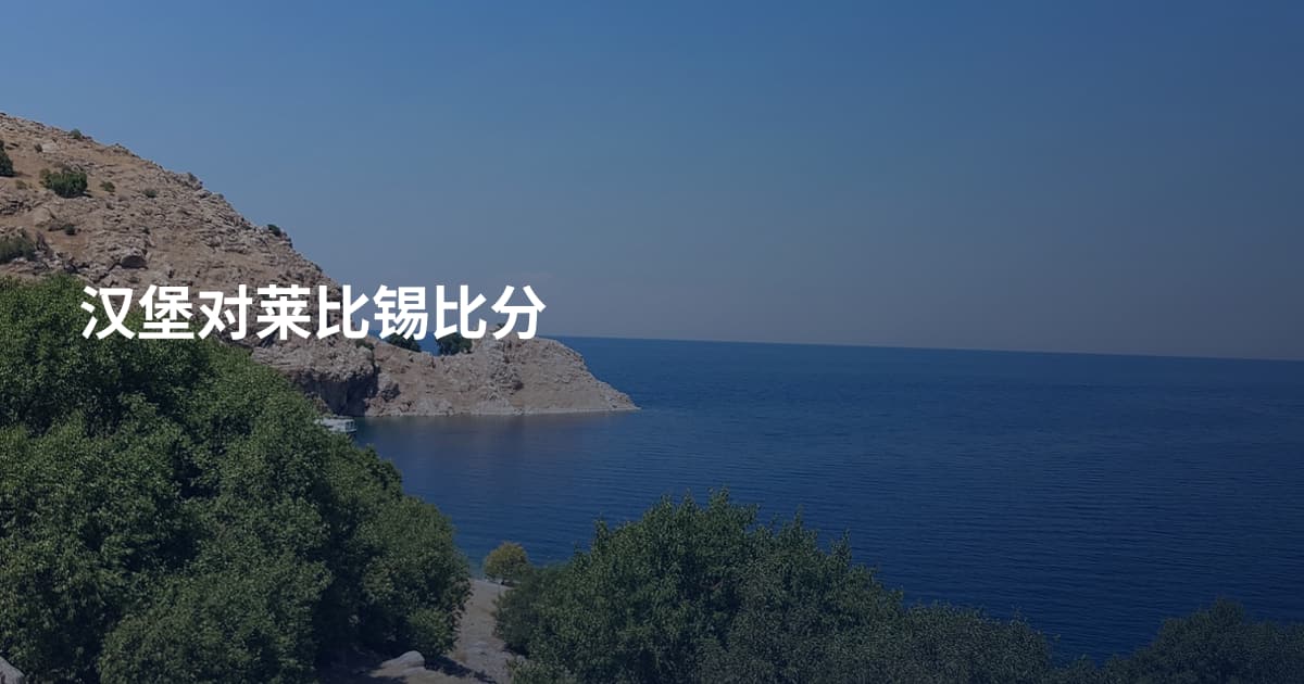 汉堡对莱比锡比分