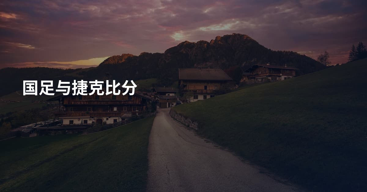 国足与捷克比分