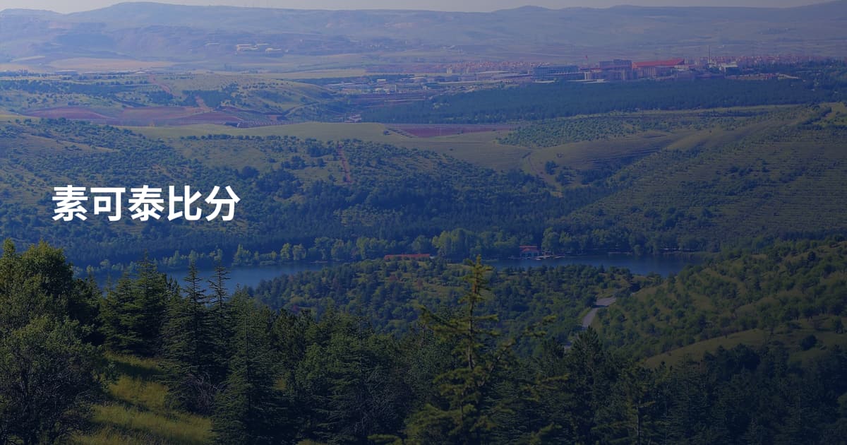 素可泰比分