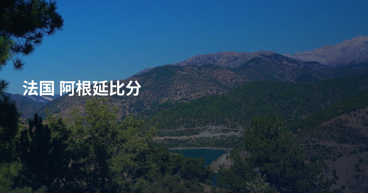 法国 阿根延比分