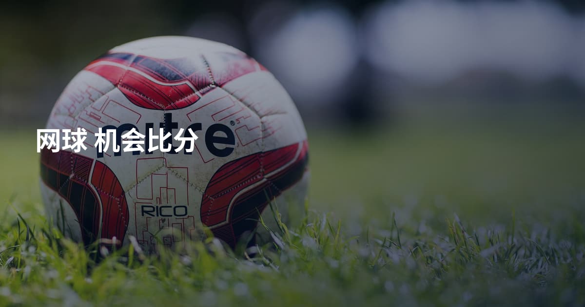 网球 机会比分