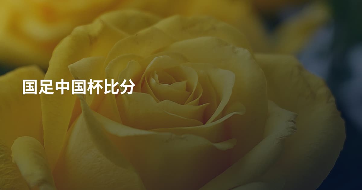 国足中国杯比分