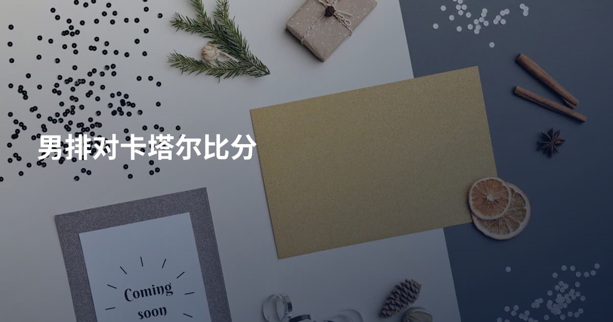 男排对卡塔尔比分
