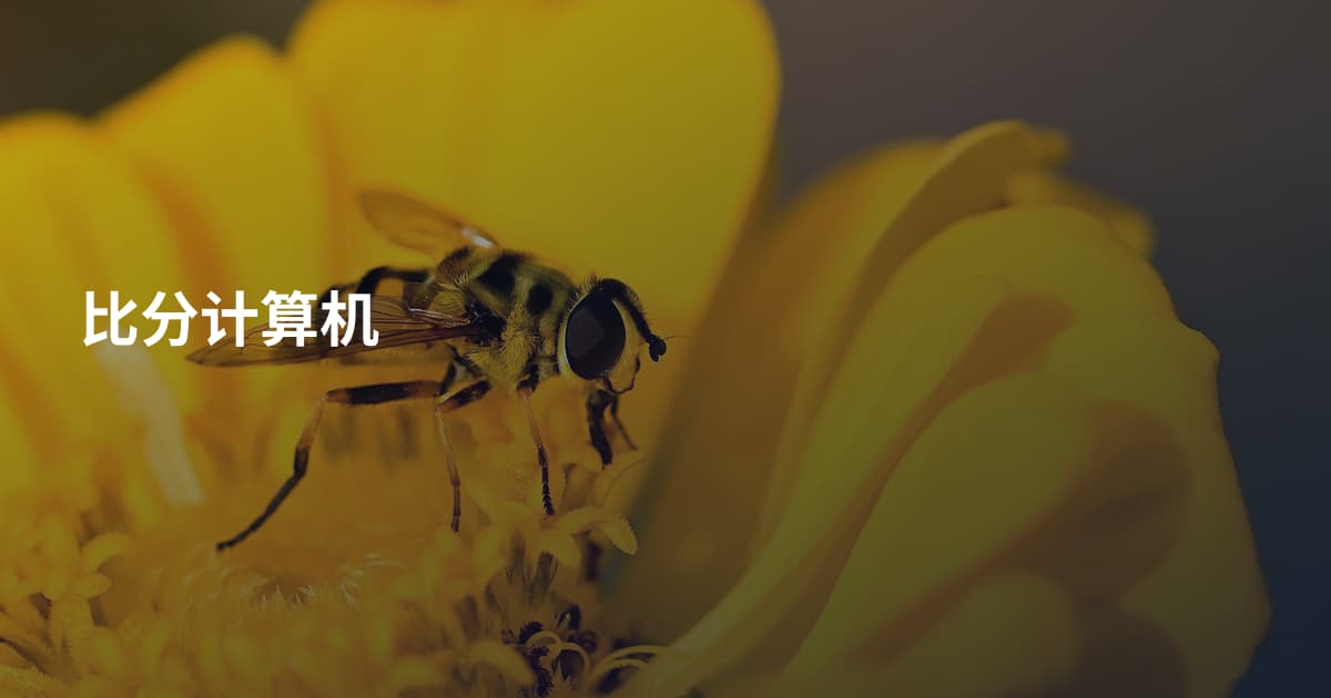 比分计算机