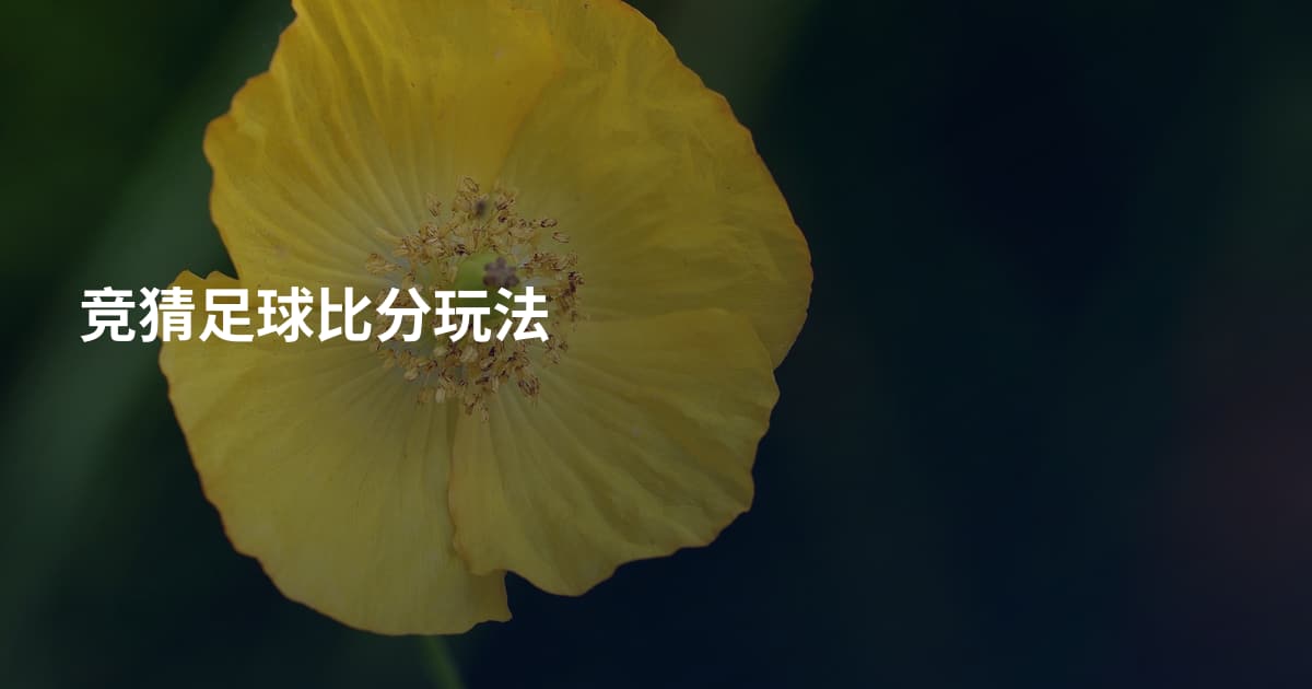 竞猜足球比分玩法