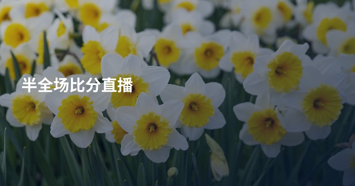 半全场比分直播