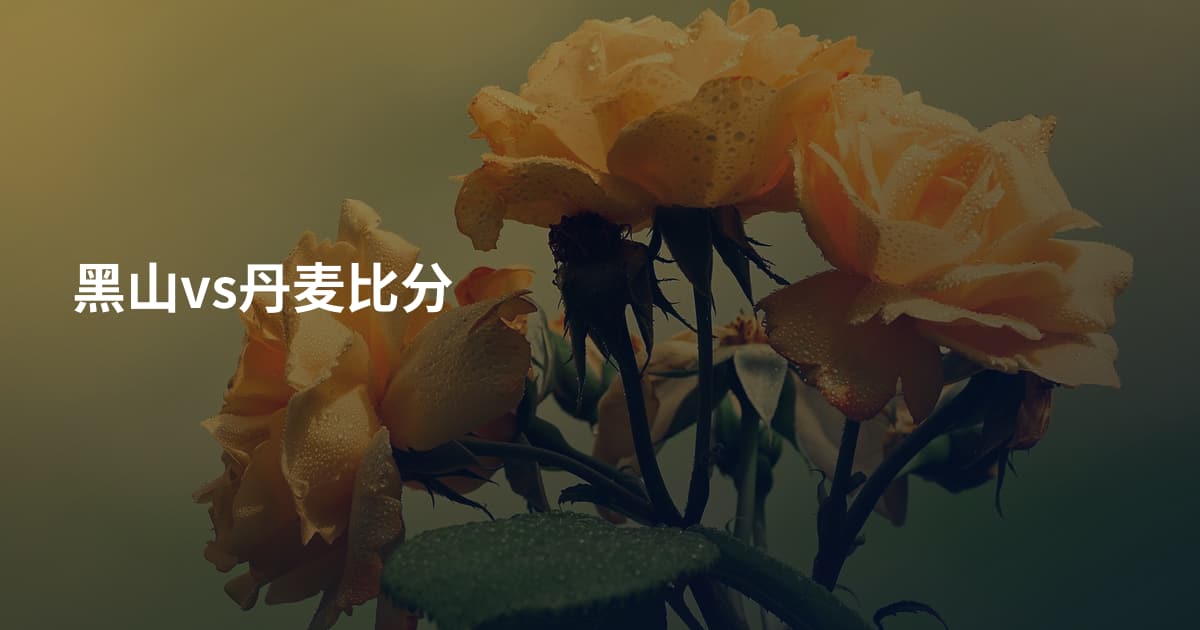 黑山vs丹麦比分