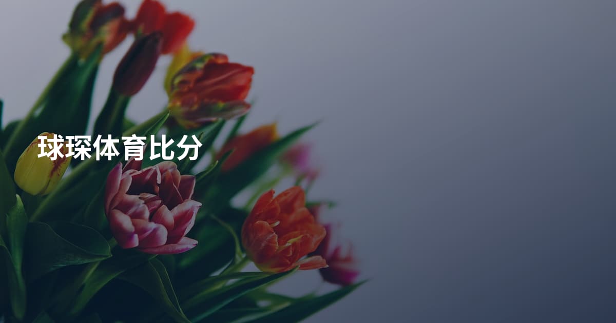 球琛体育比分