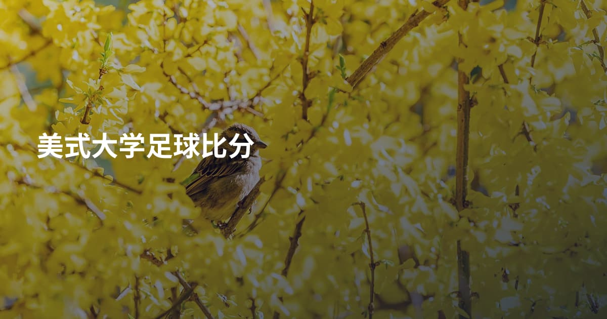 美式大学足球比分