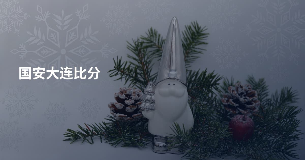 国安大连比分