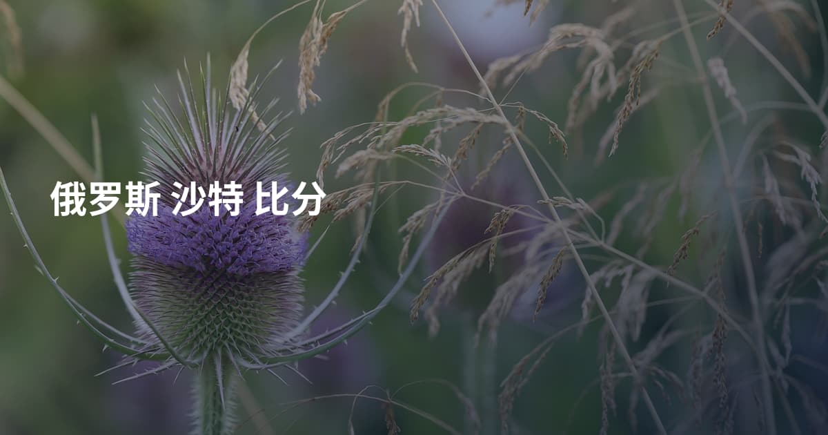 俄罗斯 沙特 比分