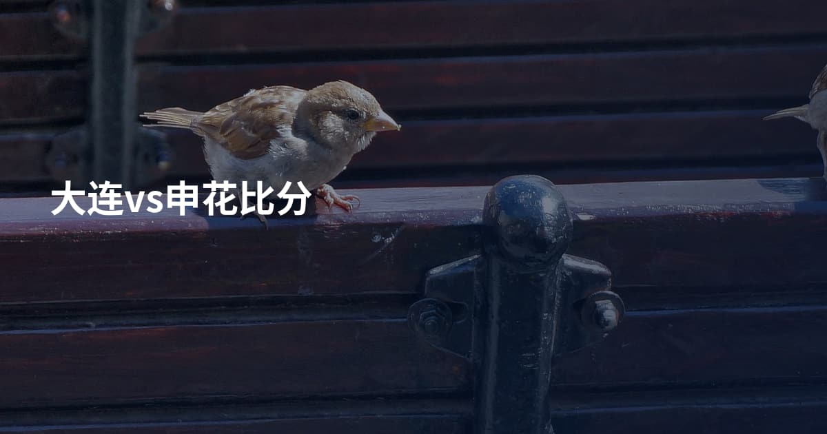 大连vs申花比分