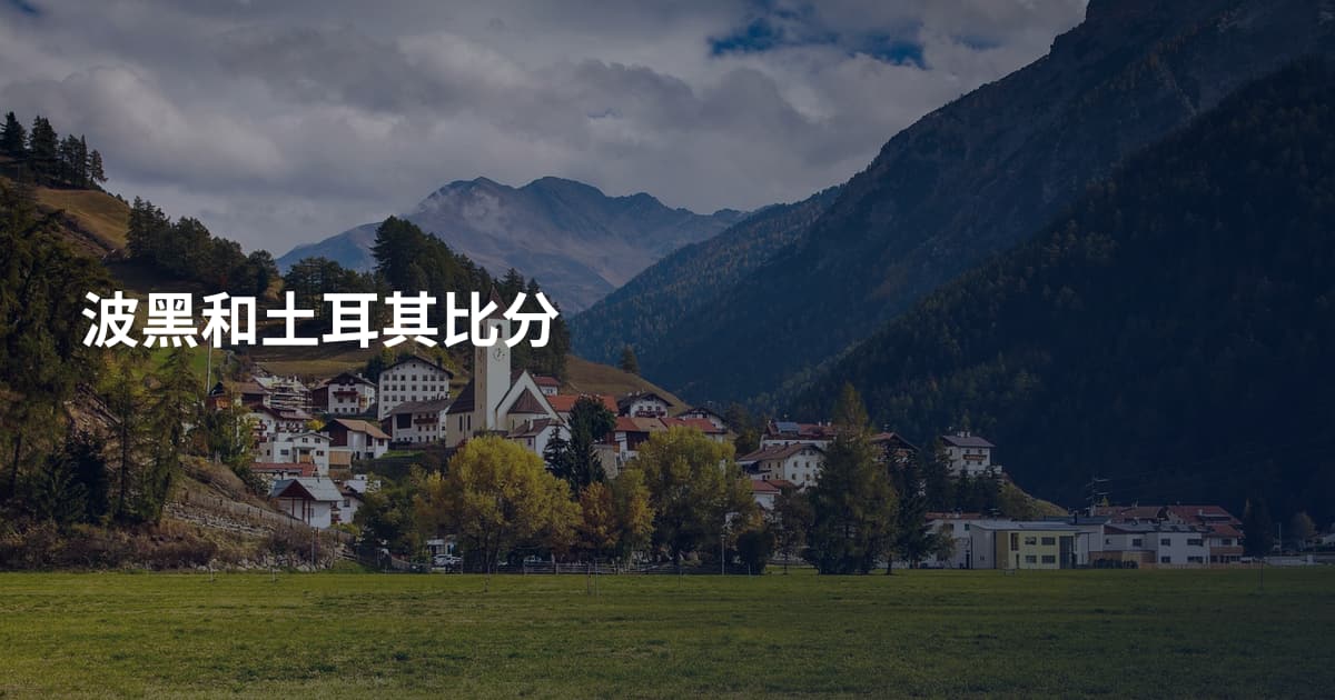 波黑和土耳其比分