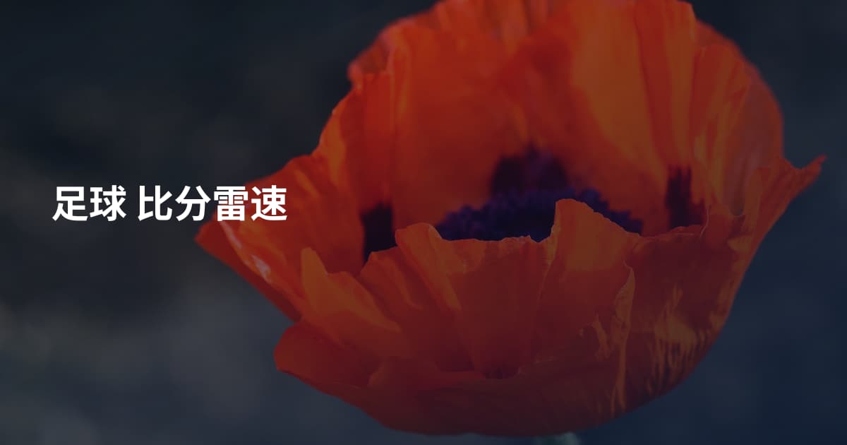 足球 比分雷速