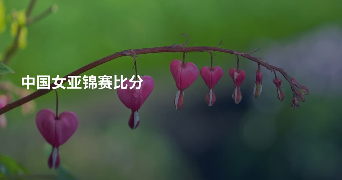 中国女亚锦赛比分