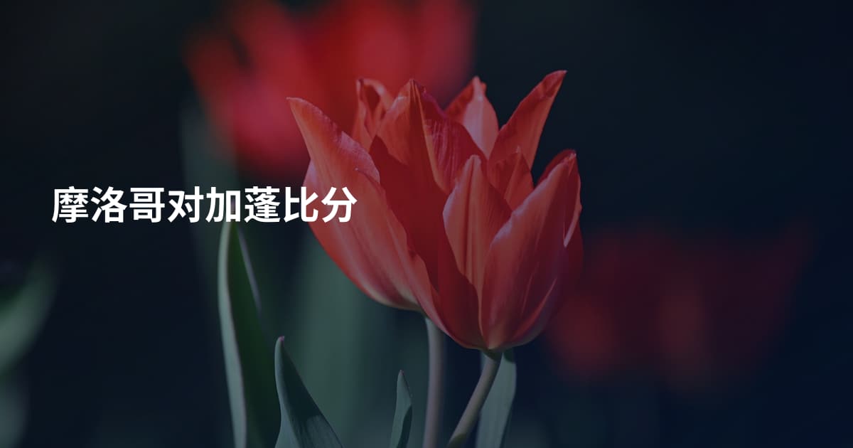 摩洛哥对加蓬比分