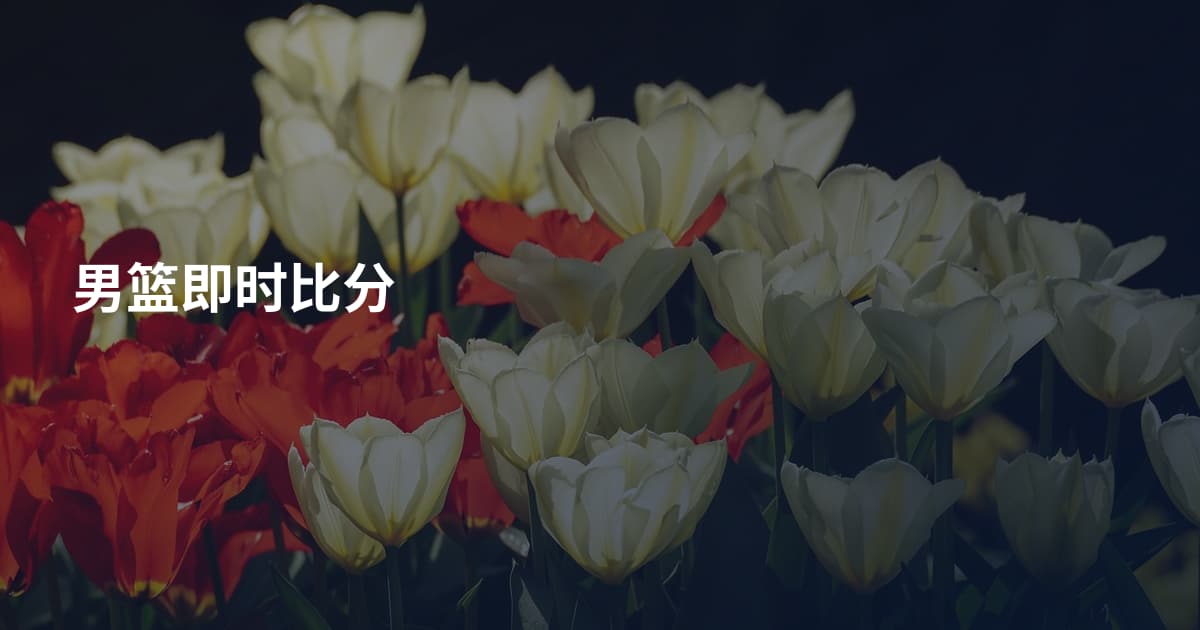 男篮即时比分