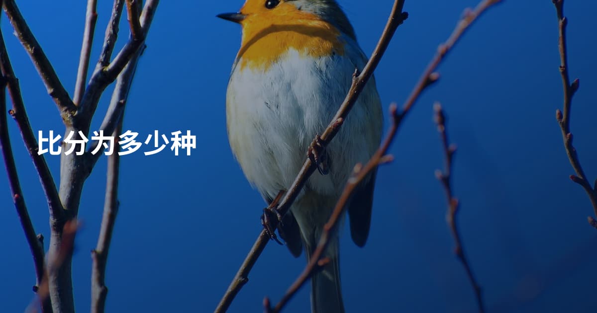 比分为多少种