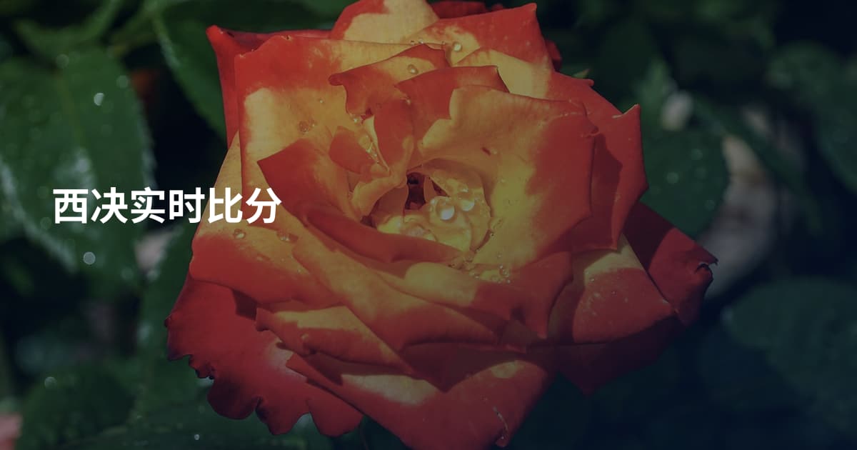 西决实时比分