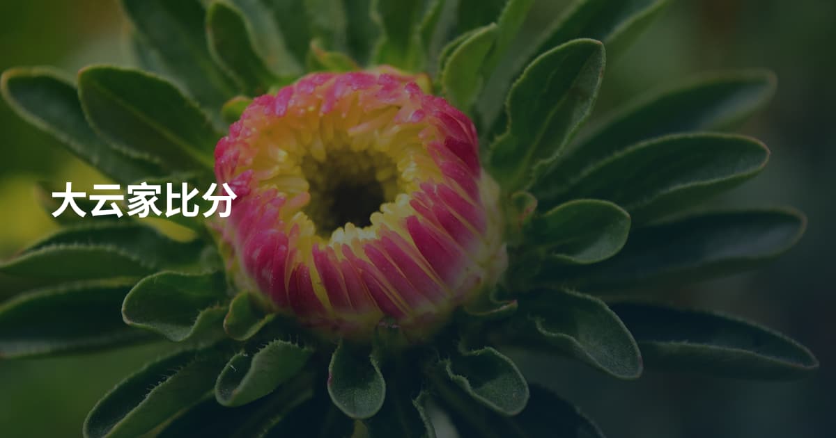 大云家比分