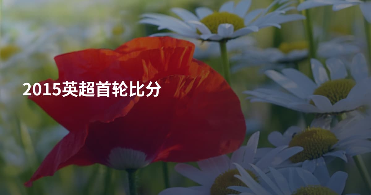 2015英超首轮比分