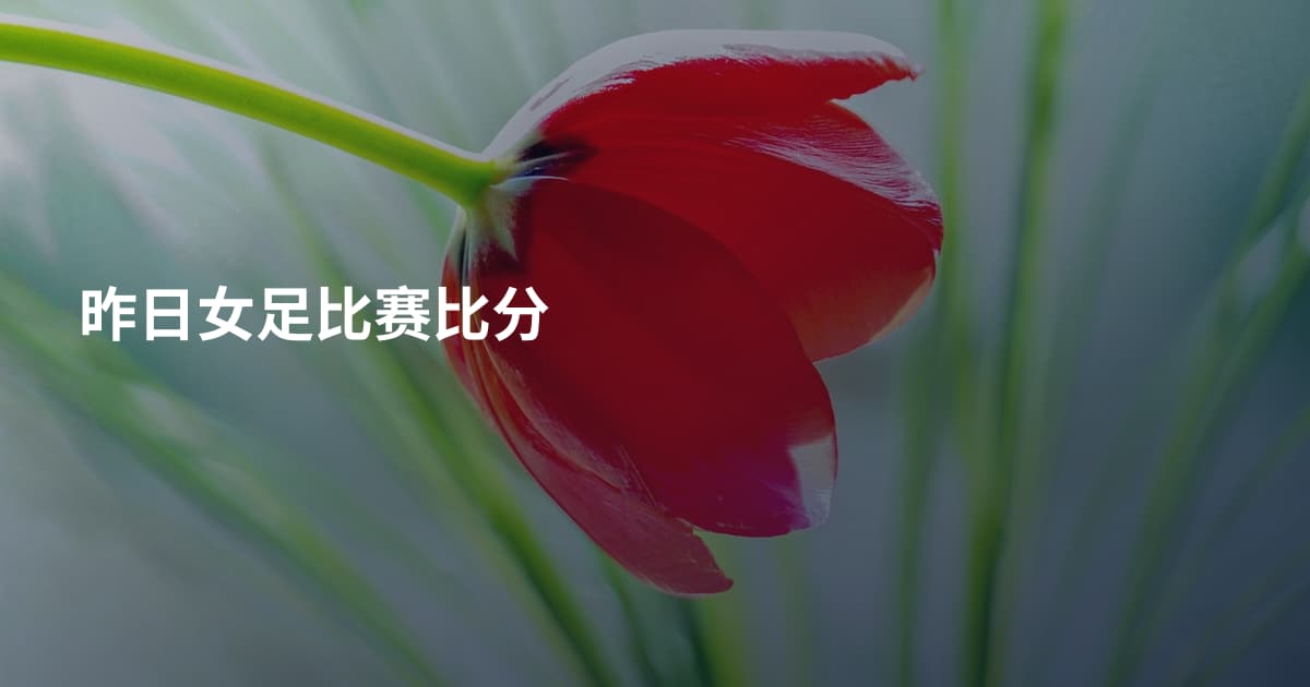 昨日女足比赛比分