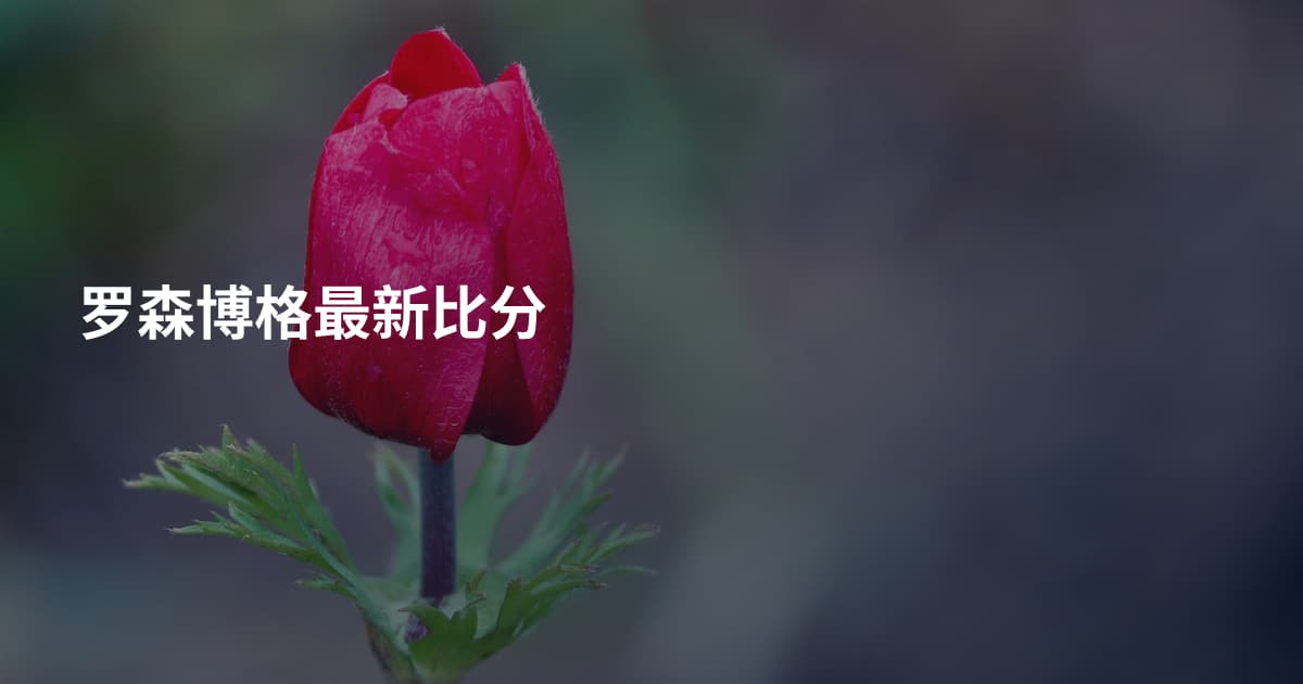 罗森博格最新比分