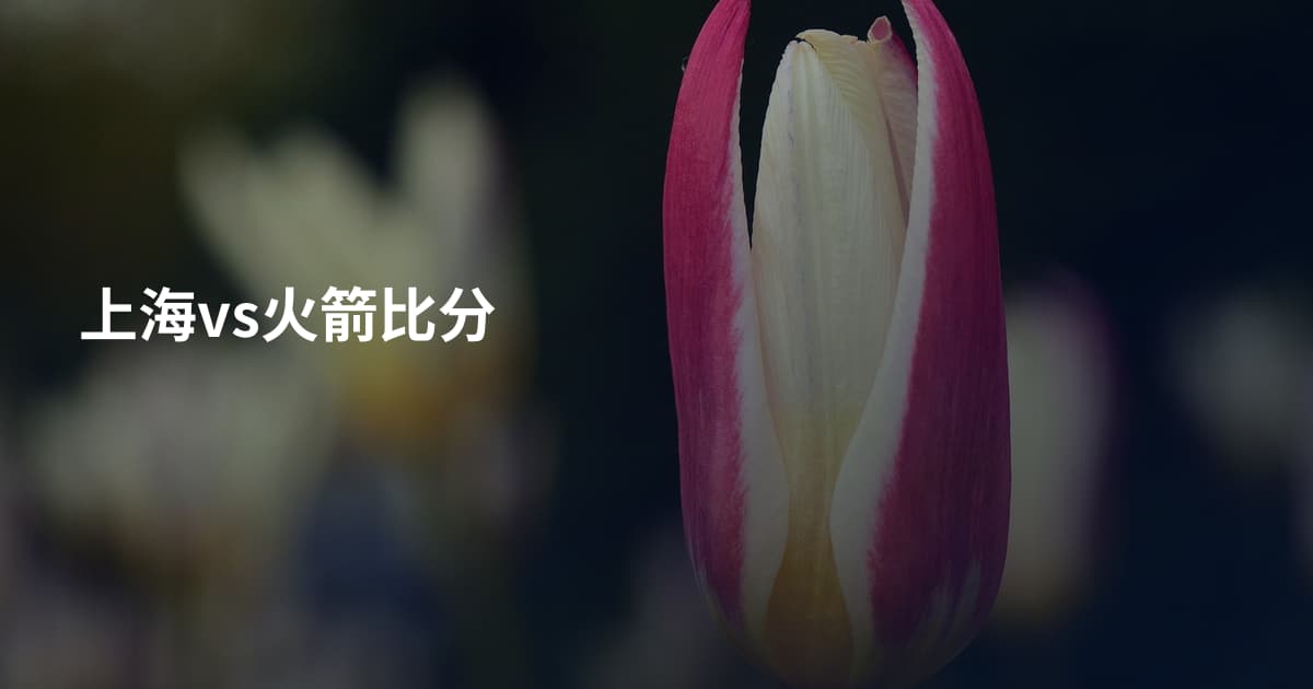 上海vs火箭比分