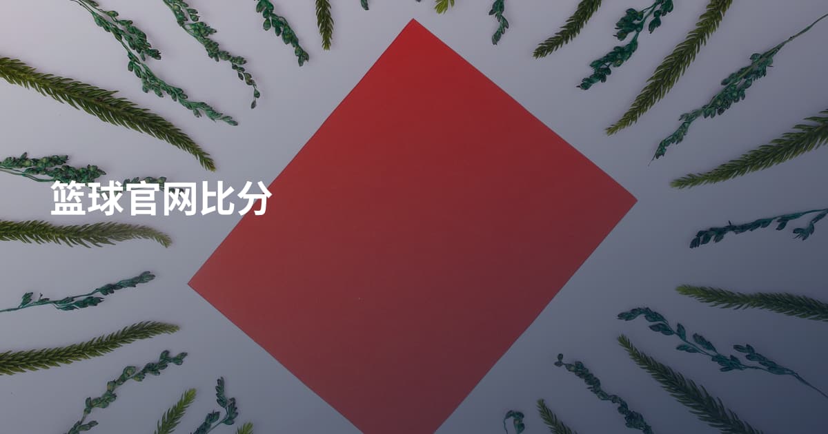 篮球官网比分