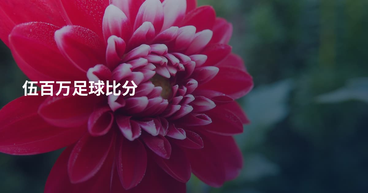 伍百万足球比分