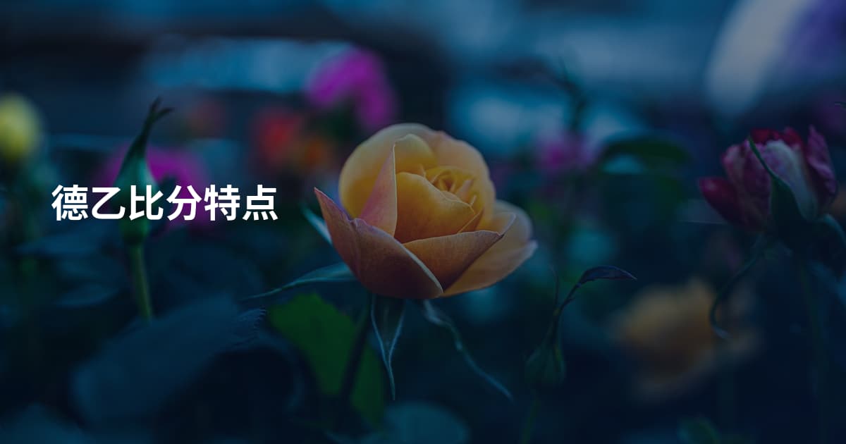 德乙比分特点
