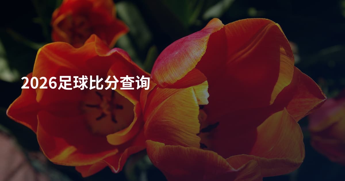 2026足球比分查询