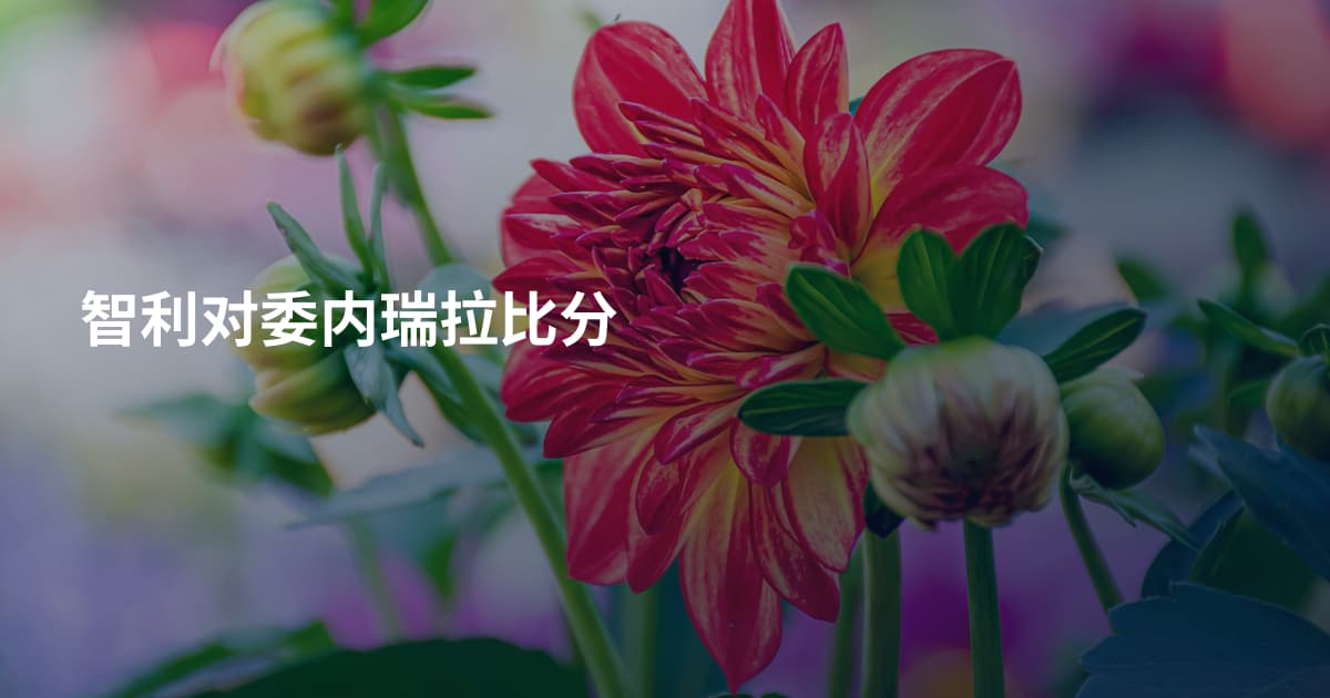 智利对委内瑞拉比分