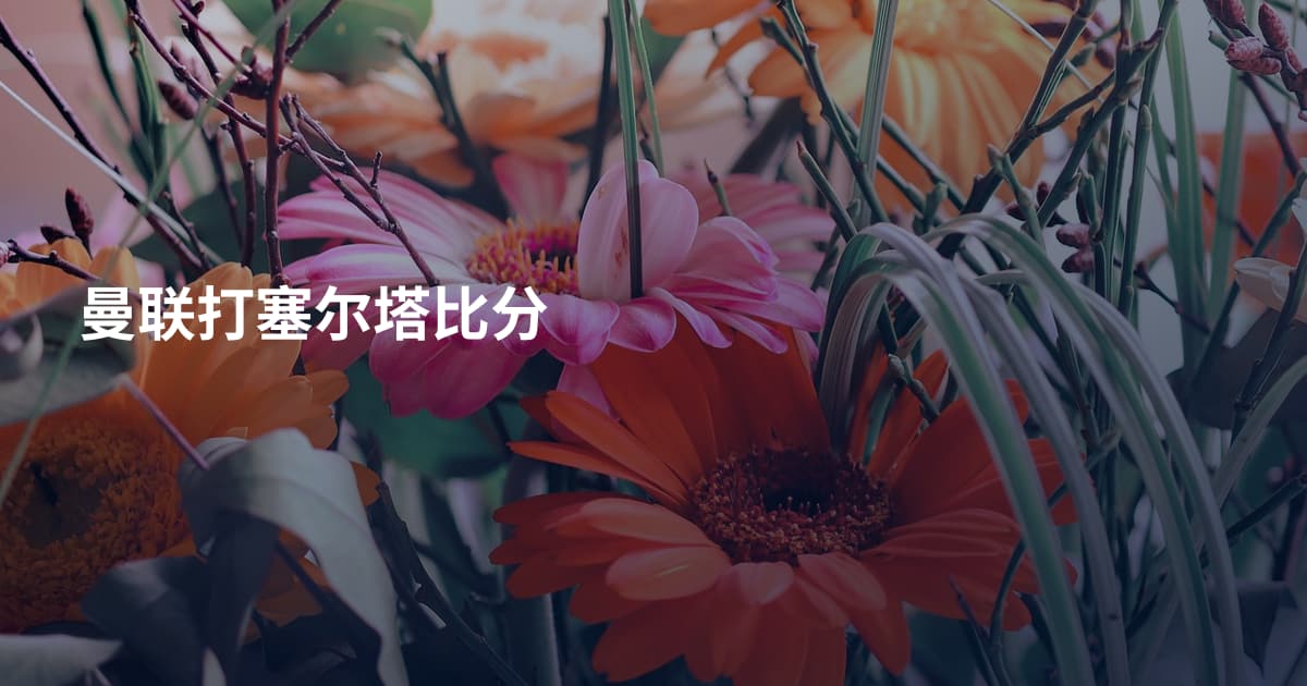 曼联打塞尔塔比分