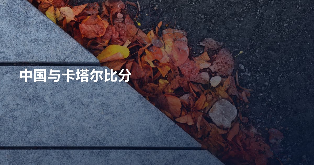 中国与卡塔尔比分