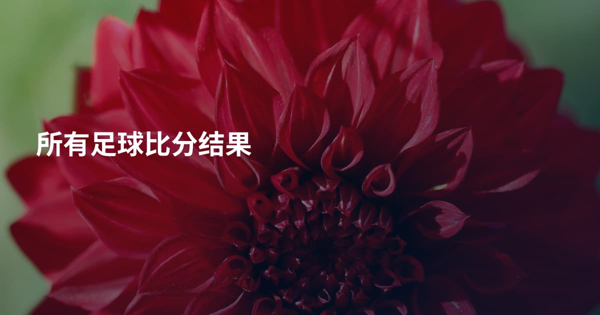 所有足球比分结果