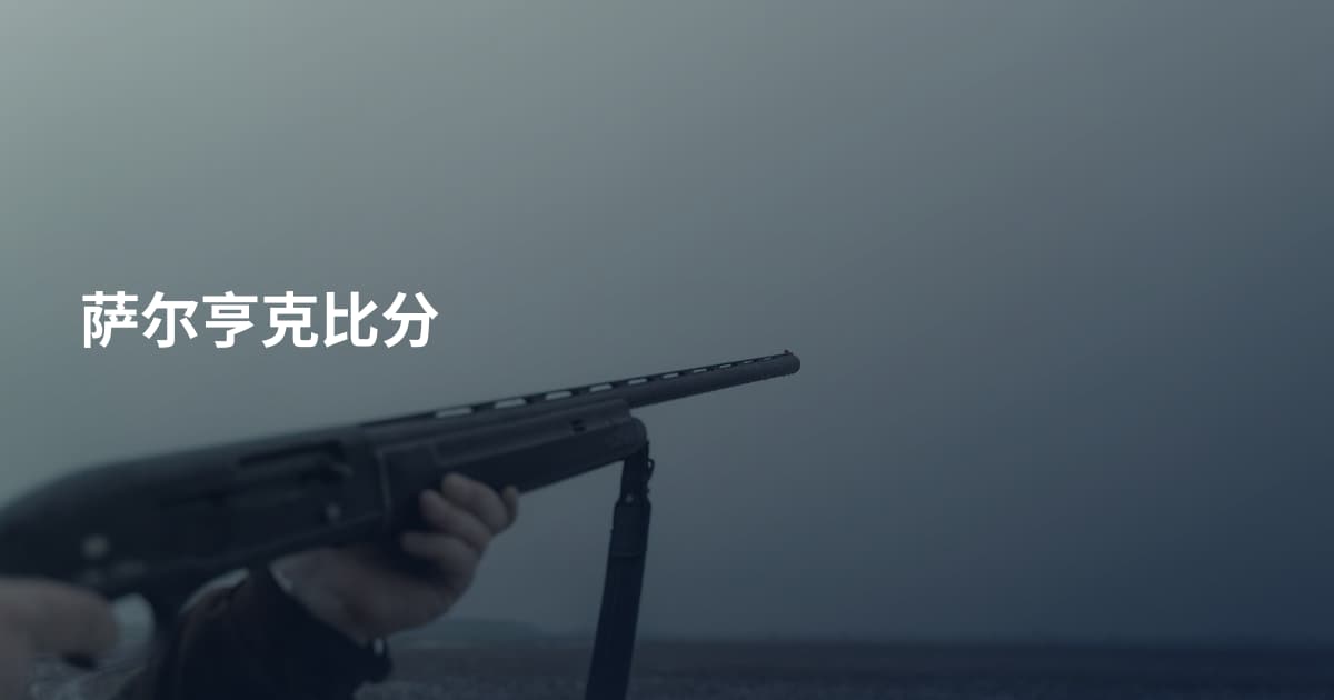 萨尔亨克比分