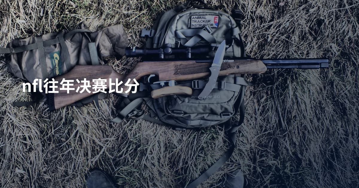 nfl往年决赛比分