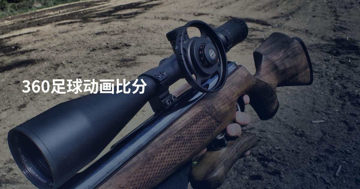 360足球动画比分