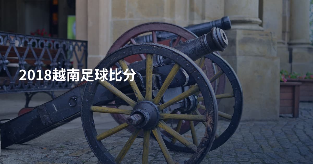 2018越南足球比分