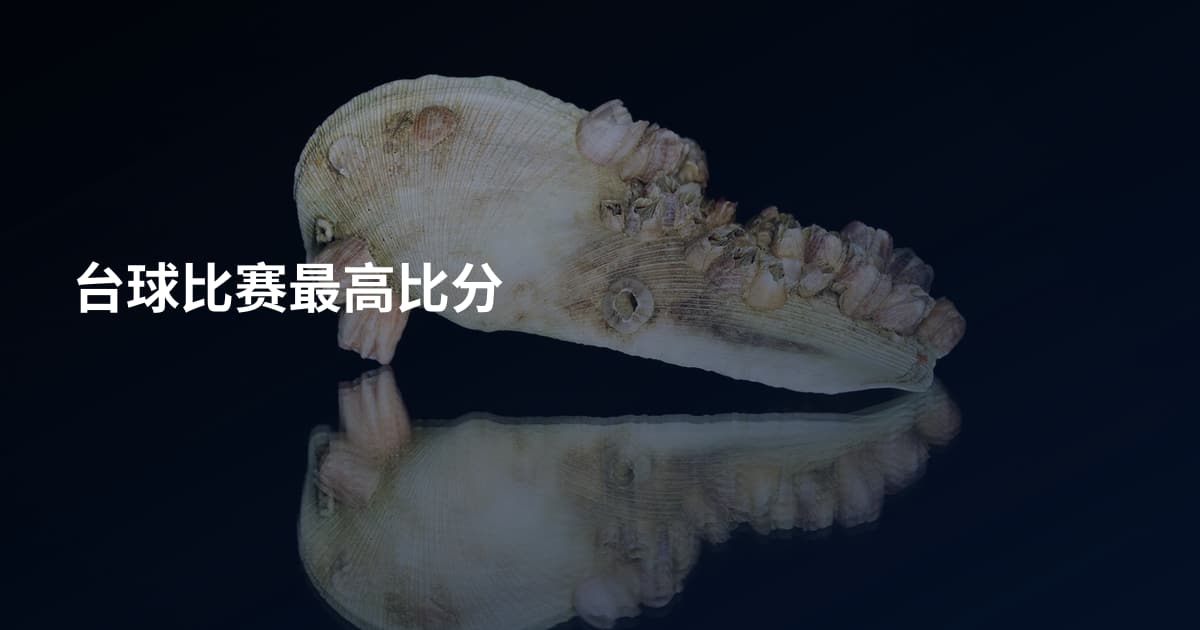 台球比赛最高比分