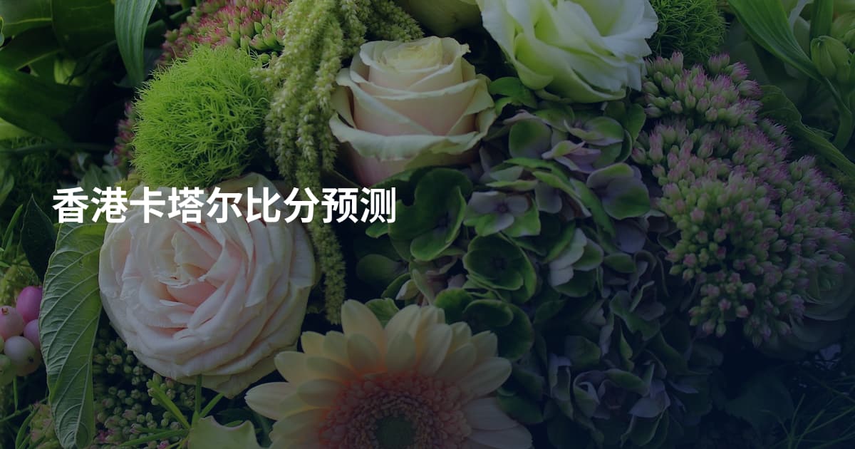 香港卡塔尔比分预测