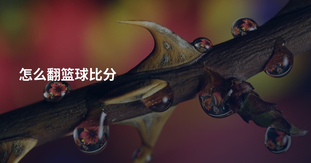 怎么翻篮球比分