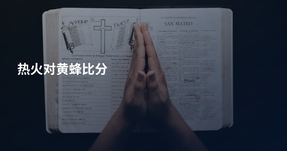 热火对黄蜂比分